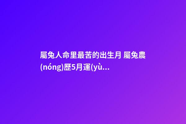 屬兔人命里最苦的出生月 屬兔農(nóng)歷5月運(yùn)勢，男1987年屬兔5月初二一生運(yùn)勢-第1張-觀點(diǎn)-玄機(jī)派